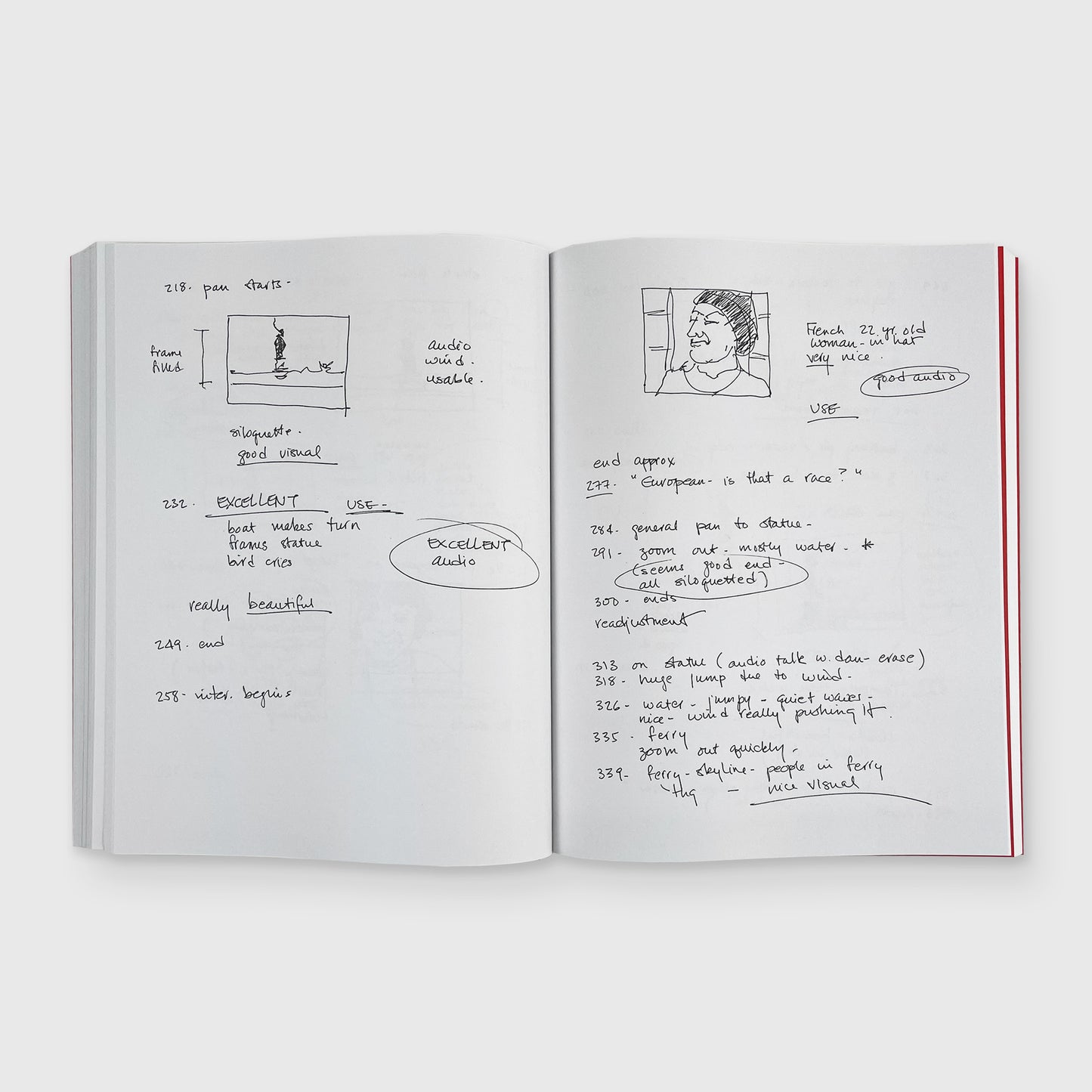 Dara Birnbaum: Note(s): Work(ing) Process(es) Re: Concerns (That Take On / Deal With)