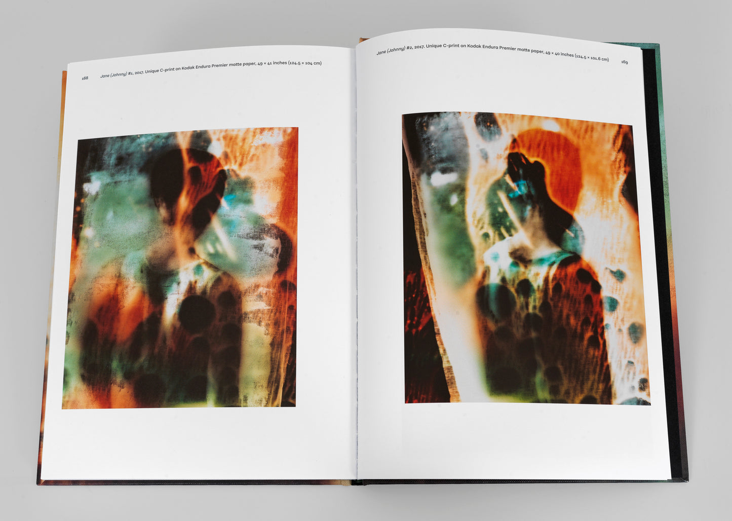 Matt Saunders: Poems of Our Climate