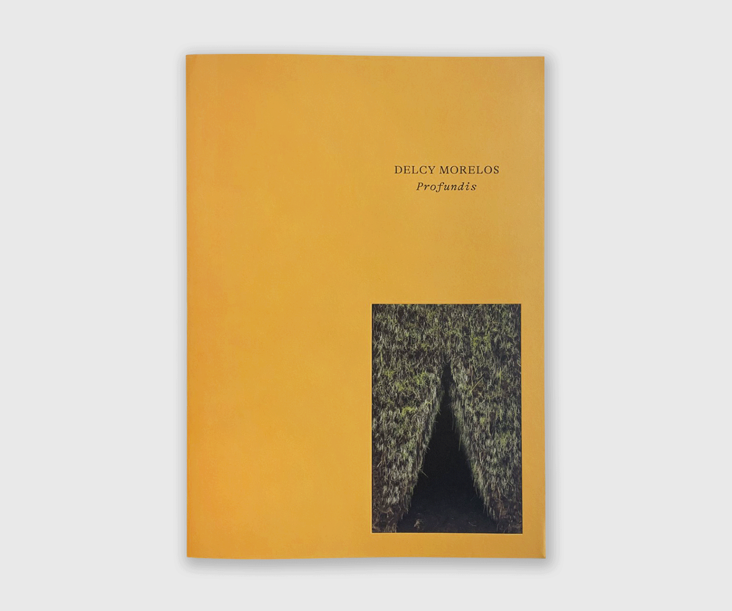Delcy Morelos: Profundis