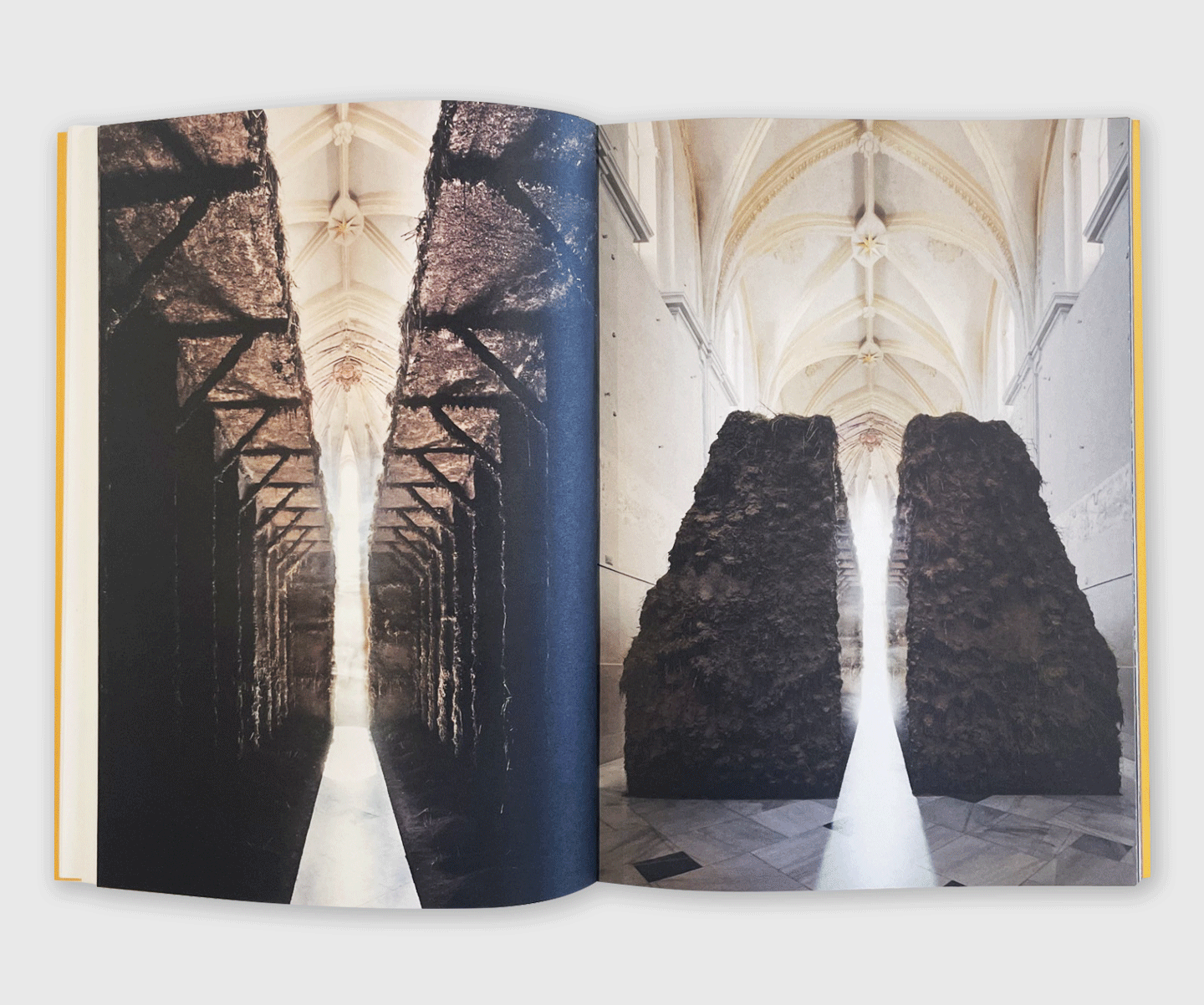 Delcy Morelos: Profundis