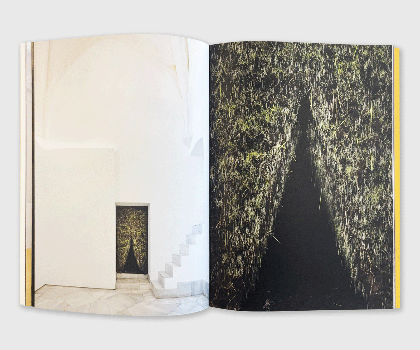 Delcy Morelos: Profundis