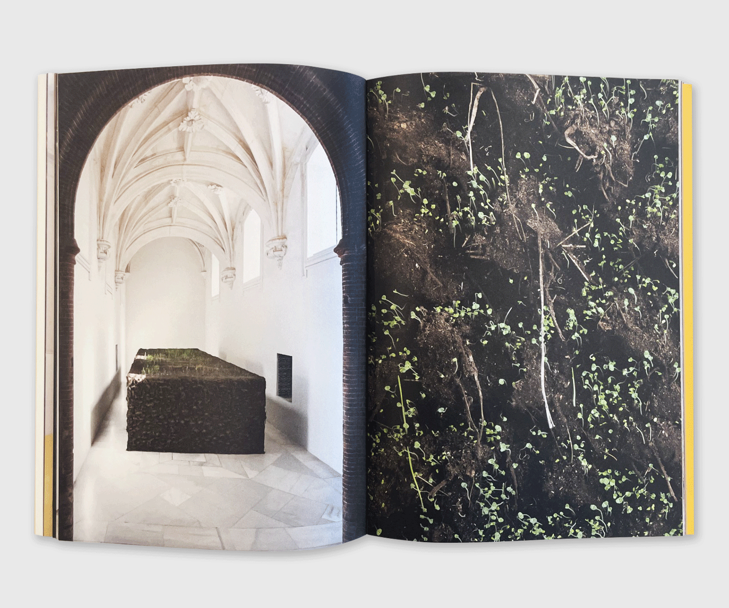 Delcy Morelos: Profundis