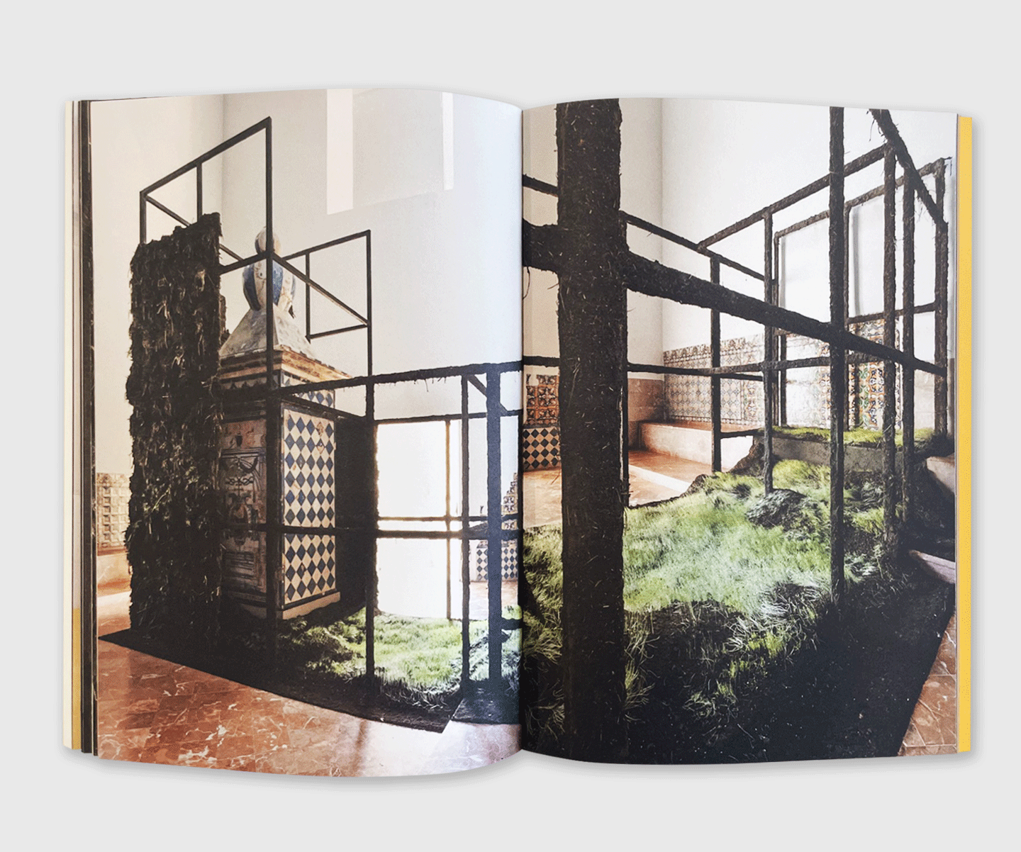 Delcy Morelos: Profundis