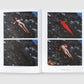 Ana Mendieta: Back to the Source