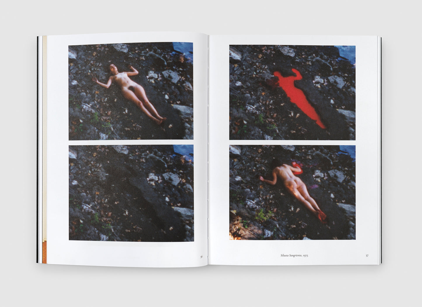 Ana Mendieta: Back to the Source