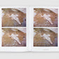 Ana Mendieta: Back to the Source