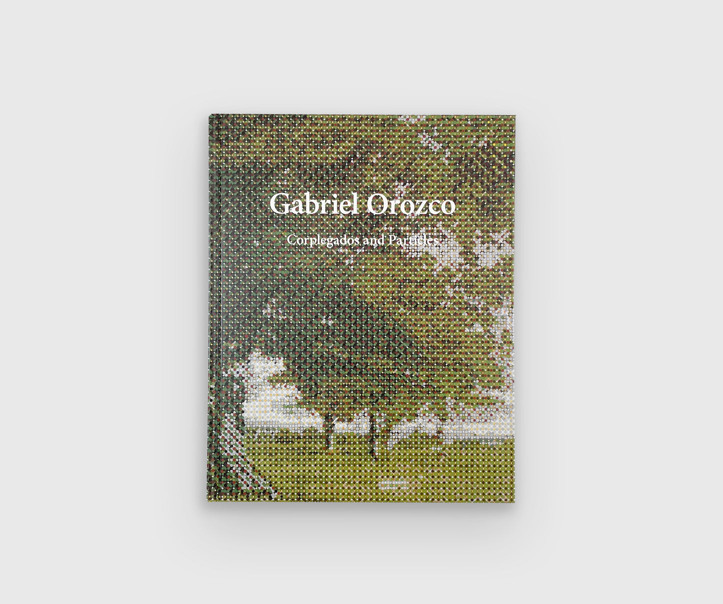 Gabriel Orozco: Corplegados and Particles