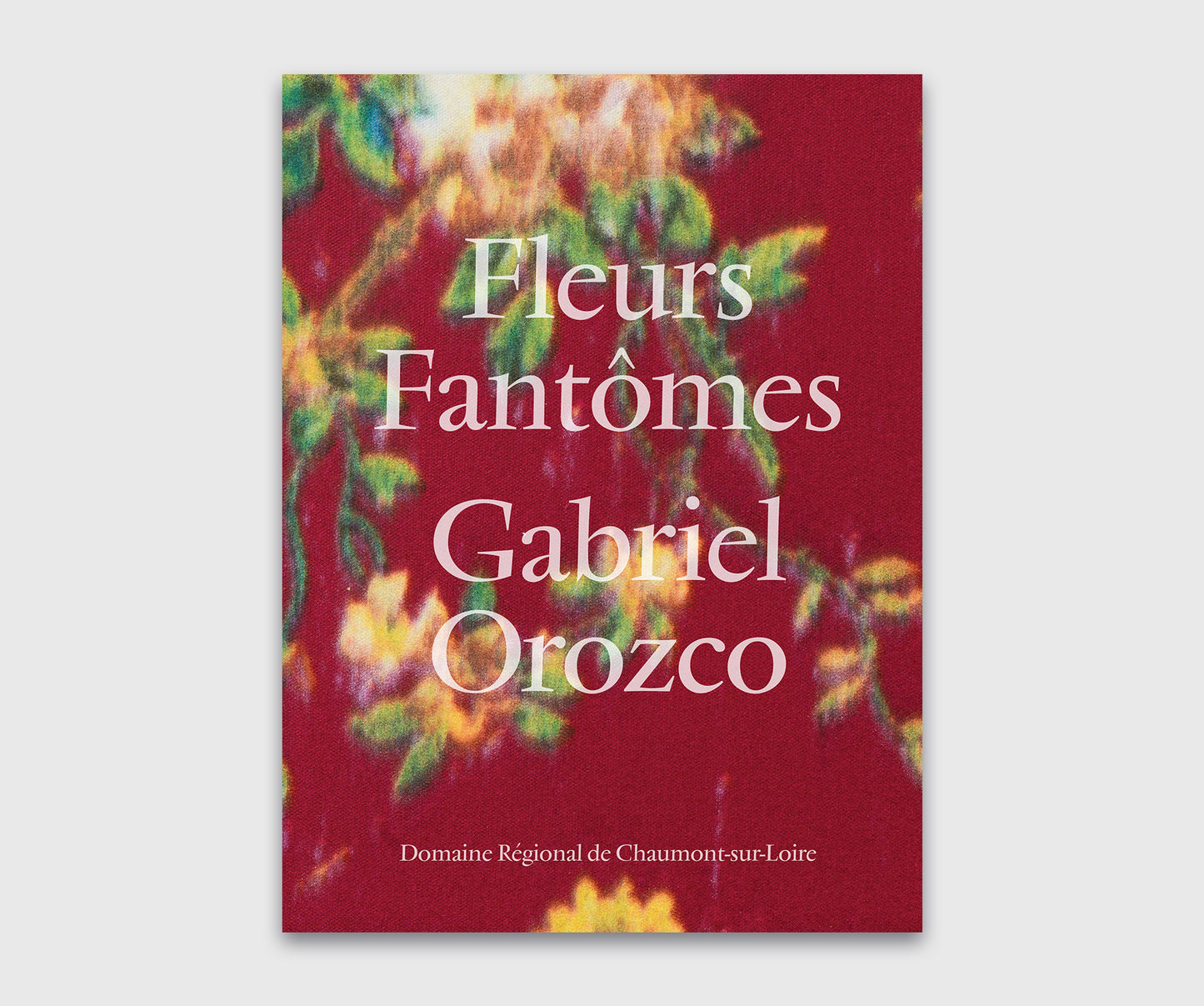 Gabriel Orozco: Fleurs fantômes