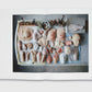 Thomas Struth: Nature & Politics