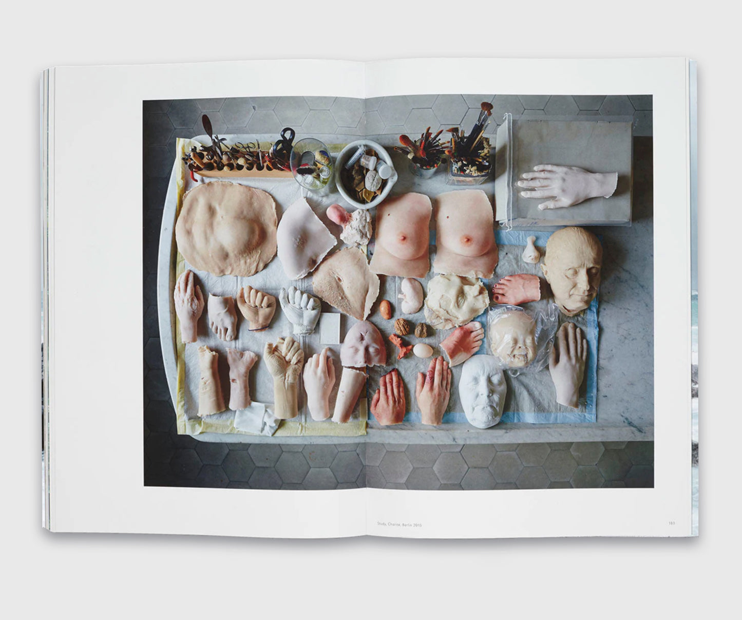 Thomas Struth: Nature & Politics