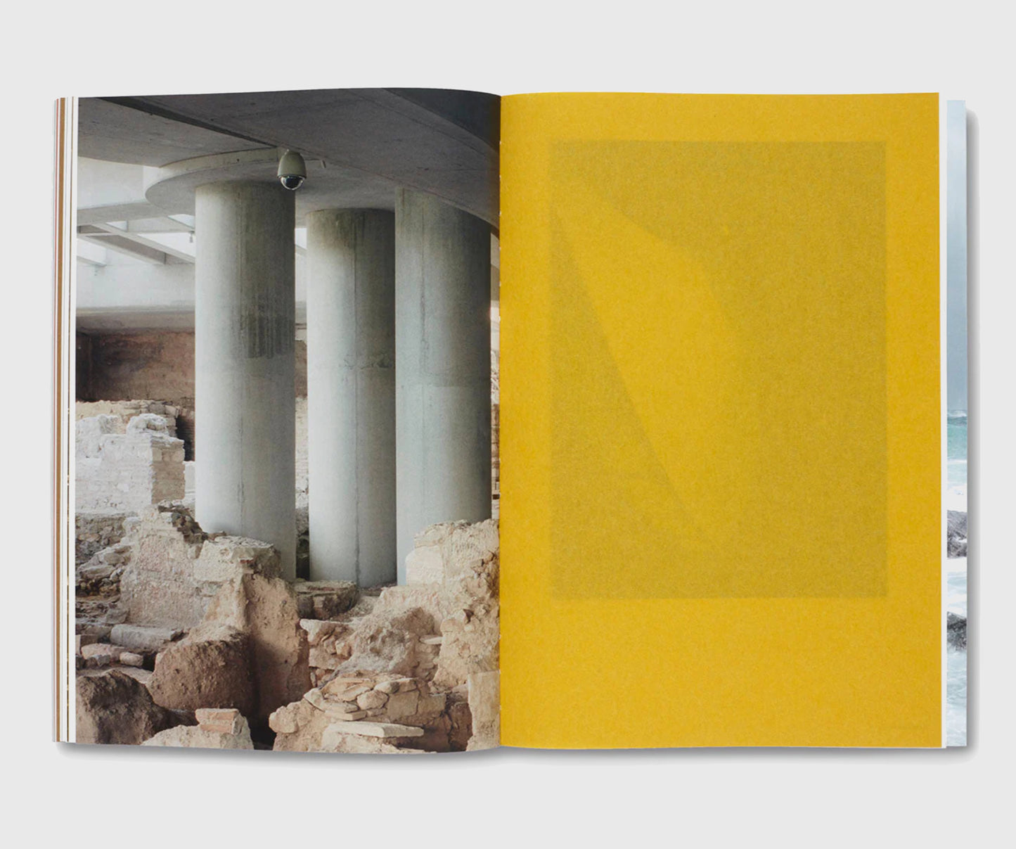 Thomas Struth: Nature & Politics
