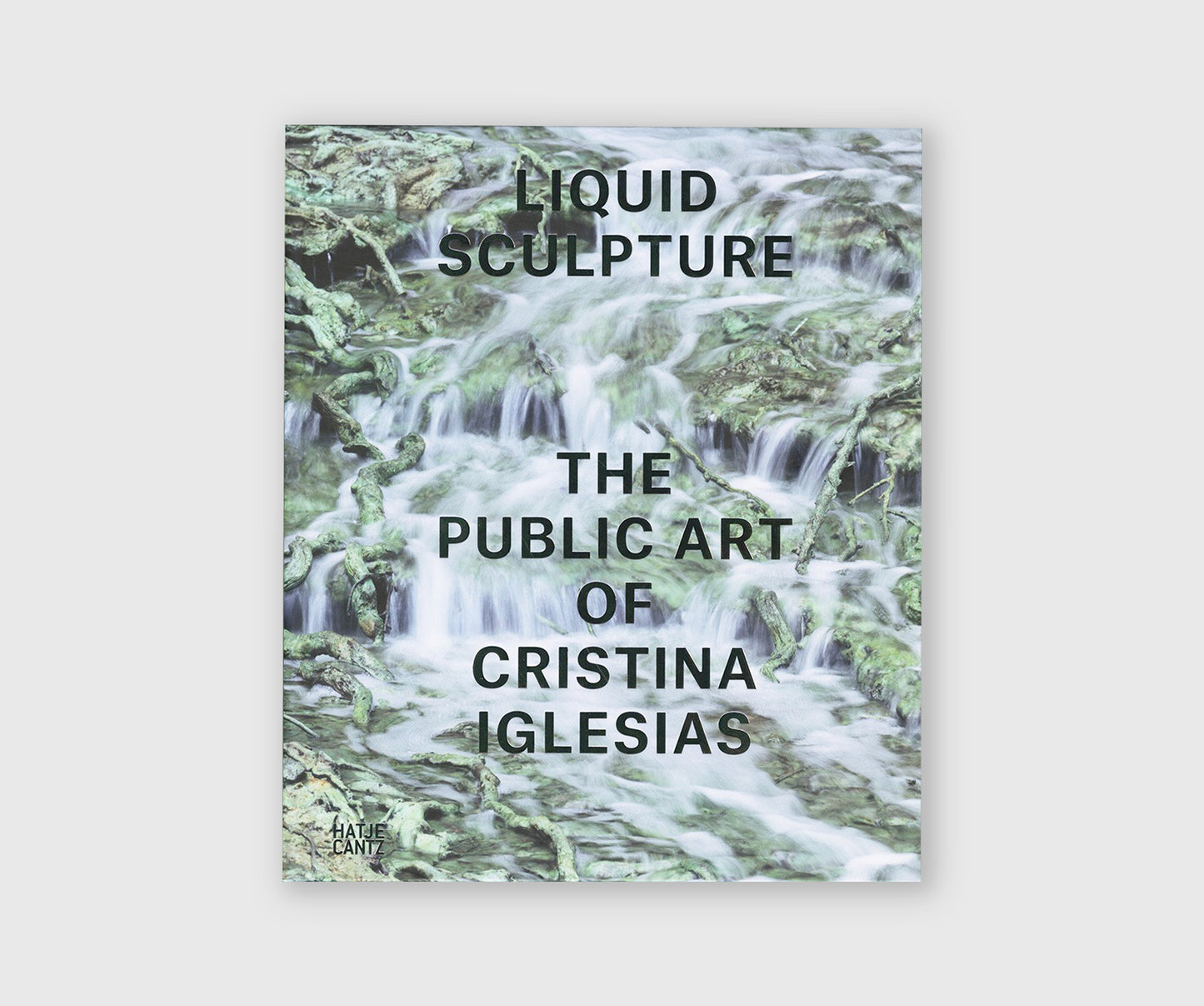 Cristina Iglesias: Liquid Sculpture