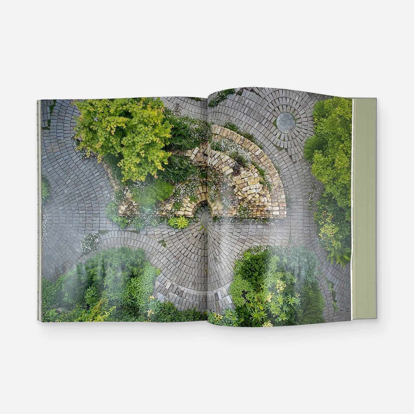 Gabriel Orozco: The Orozco Garden at South London Gallery